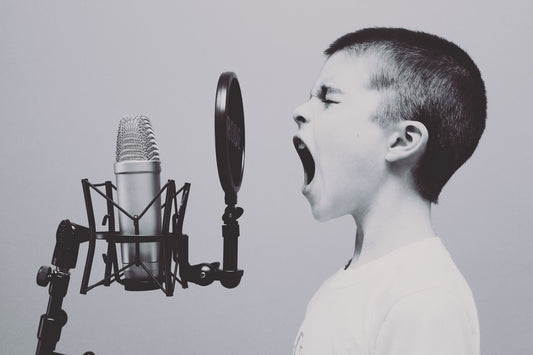 Ein Junge spielt eine Artbookings Solo-Show in einem Wohnzimmerkonzert - Poetry Slam oder Musik | NRW, schreit in ein Mikrofon.